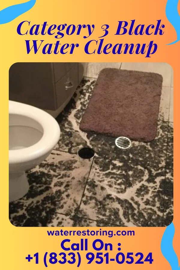 Category 3 Black Water Cleanup in Pikeville, TN